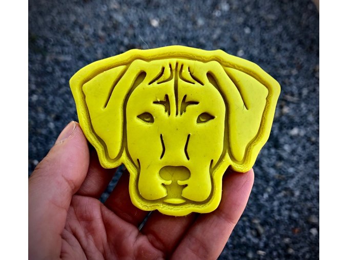 Rhodéský ridgeback I - vykrajovátko