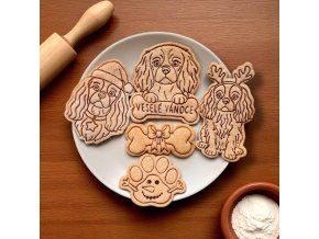 Kavalír king charles španěl