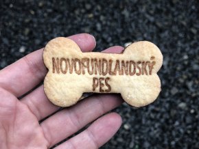 novofundlandský pes kostičkaa