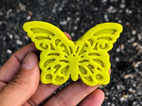 motýl 1