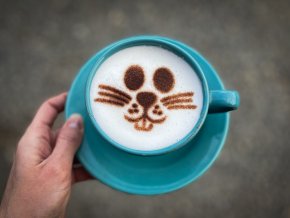 C286D5E3 B851 4FB7 88CB 3EB83DE6A0DD