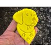 LABRADOR 10 10