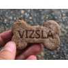 vizsla kost madar