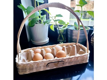 Dno - KOŠÍK NA VAJÍČKA - papierové ruličky