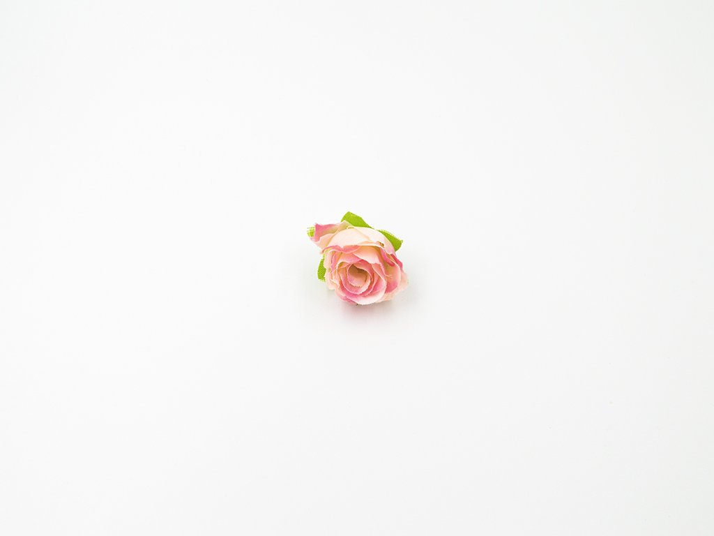 Růže 003 růžová