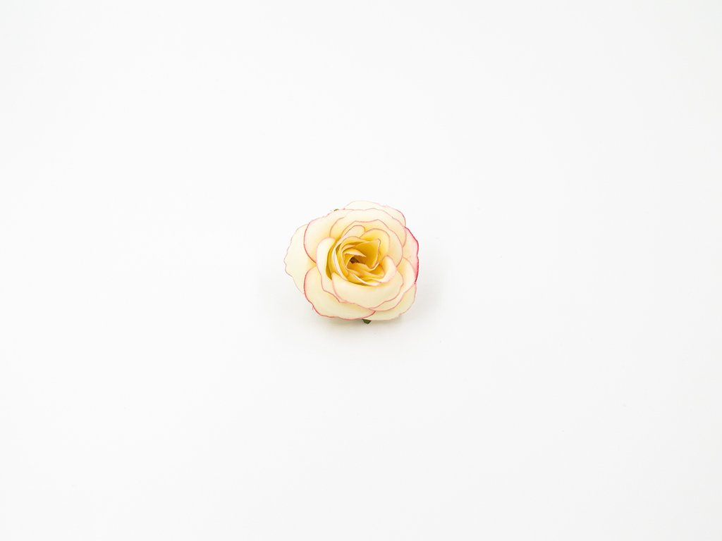 Růže 015 růžovo meruňková