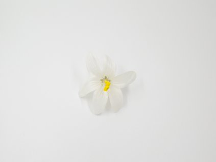 Lilie 002 bílá