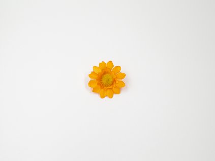 Kopretina 003 oranžová