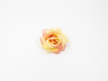Růže 020 růžovo žlutá