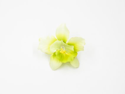 Orchidej 001 zelenkavá