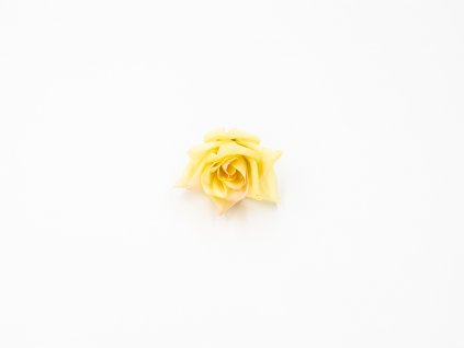 Růže 007 žlutá