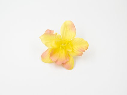 Orchidej 001 žlutá