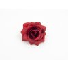 Růže 020 červená
