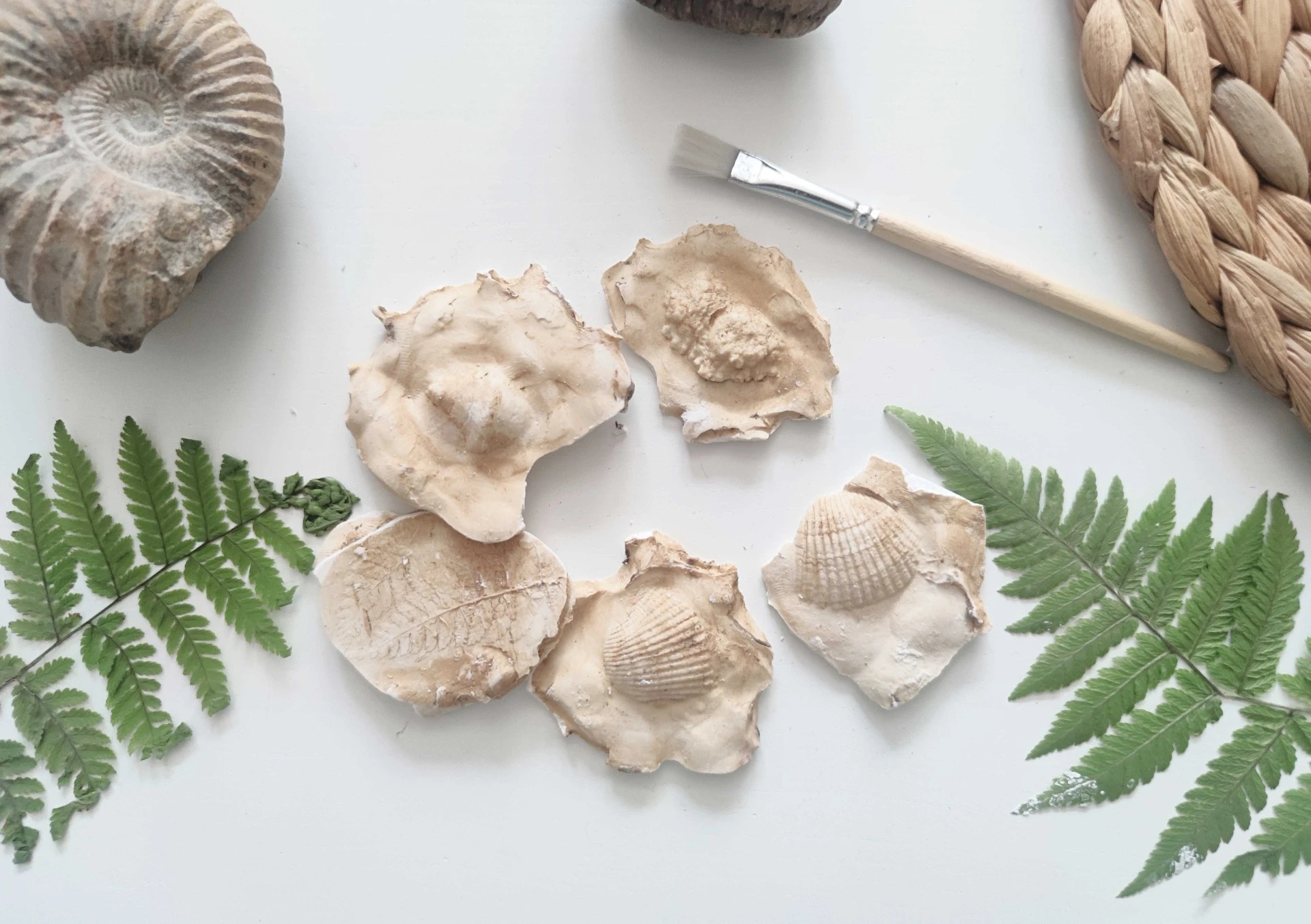 Výtvarka s Amosem - Jak si vyrobit falešné fosilie