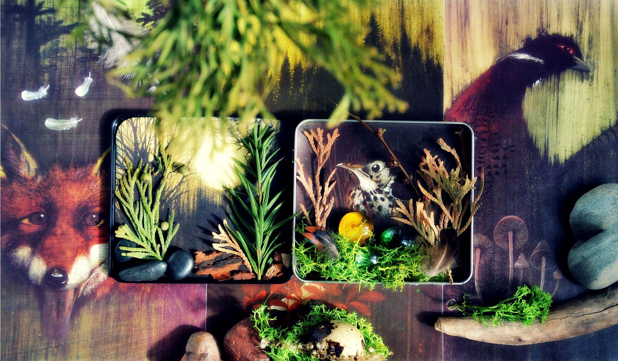 Kouzelný mikrosvět v krabičce