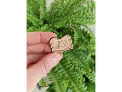 Výřez - knížka, kniha II.