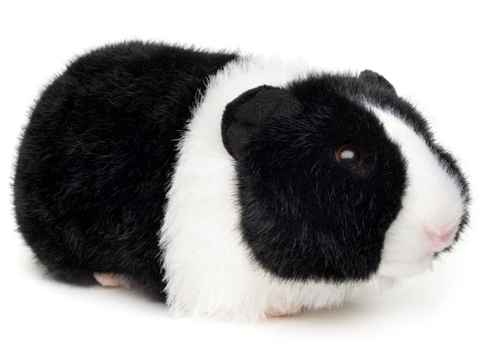 Plush guinea pig 21 cm - plush toys