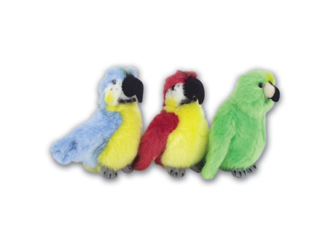 0024357 ARK111 papousci.jpg