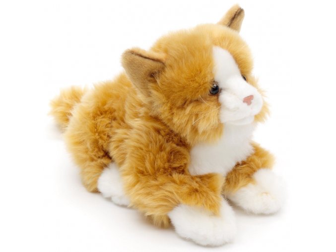Plush cat 28 cm - plush toys