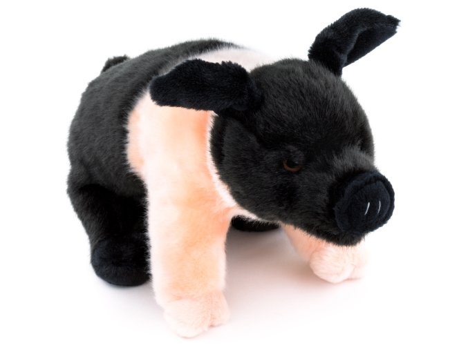 Plush pig 25 cm - plush toys