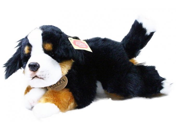Plush Bernese Mountain Dog 30 cm - plush toys