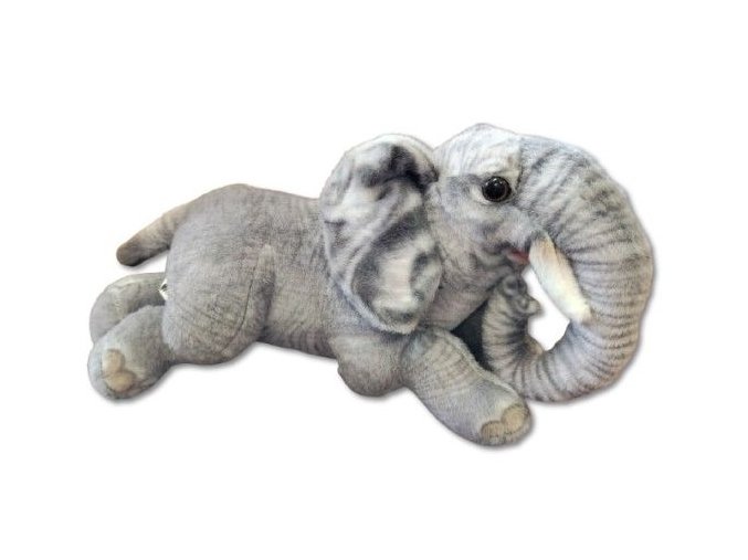 0024041 slon B602665.jpg