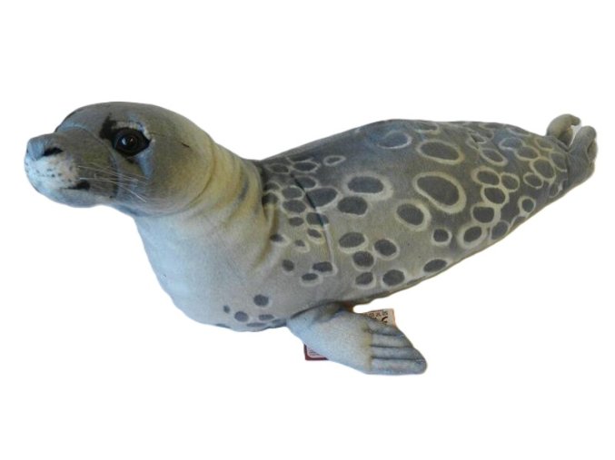 Plyšový lachtan 65 cm - plyšové hračky