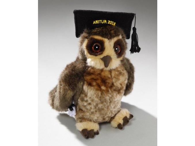 Plush wise owl graduate 23 cm - plush toys