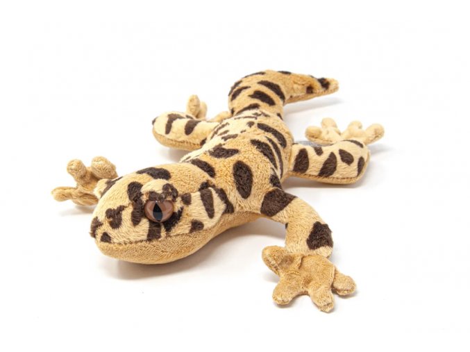 Plush gecko 25 cm - plush toys