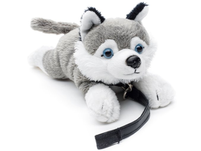 Plush husky 22 cm - plush toys