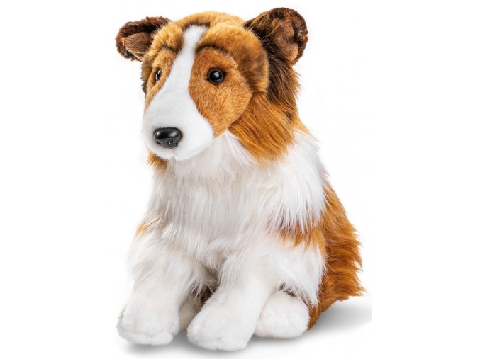 Plush dog Collie 30 cm - plush toys