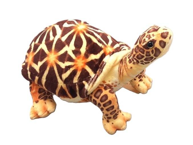 Plyšová želva hvězdnatá 25 cm - plyšové hračky