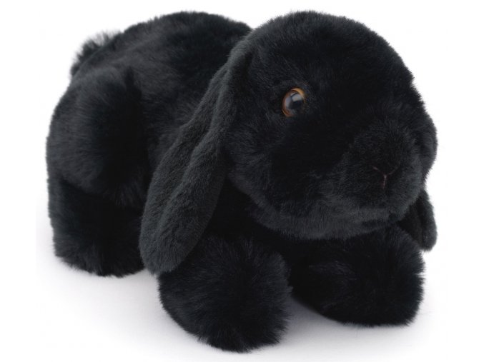 Plush rabbit 22 cm - plush toys