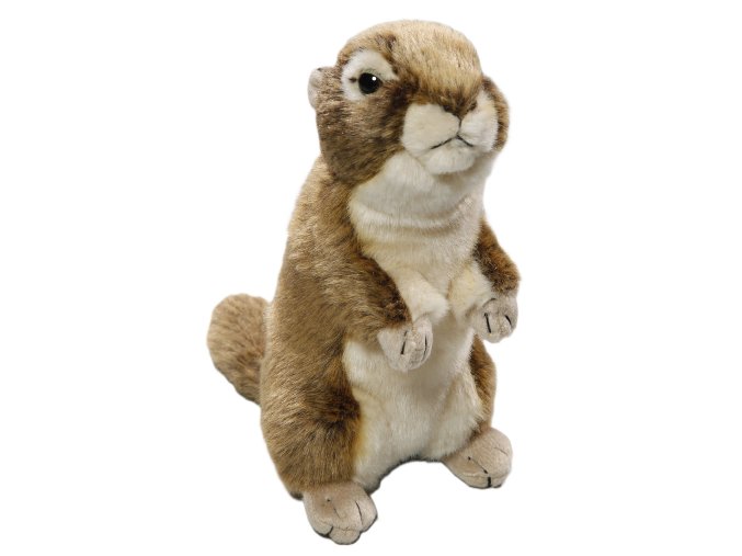 Plush ground squirrel 21 cm - plush toys
