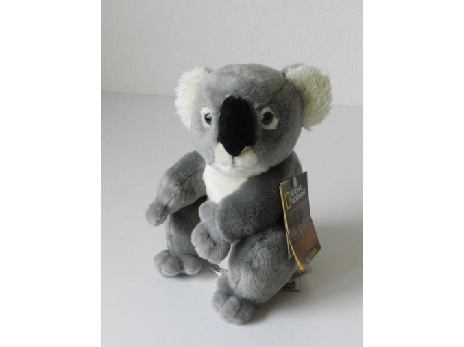 6051B417 583E 4D66 A0D1 2F95E30D21C9 koala plys w009574