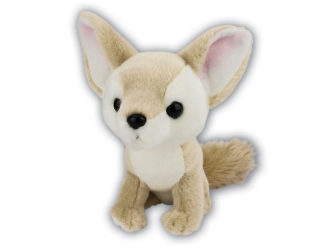 0023514 fenek ARK498.jpg