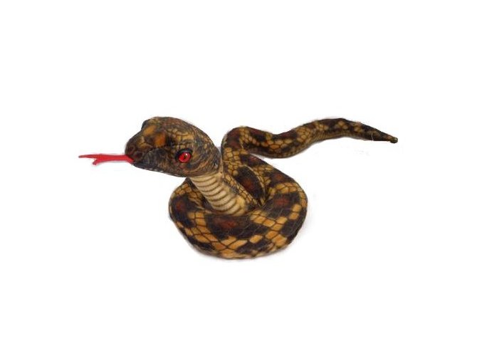 0015601 Had hnedy B602238.jpg