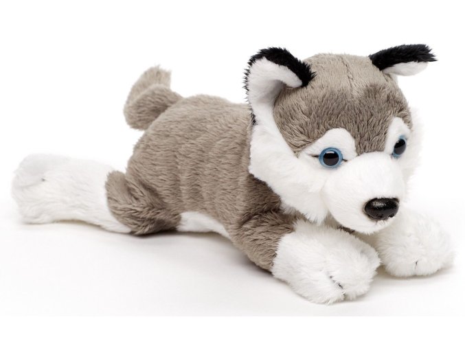 Plush husky 19 cm - plush toys