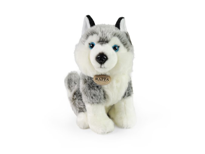 Plush husky dog ??30 cm - plush toys