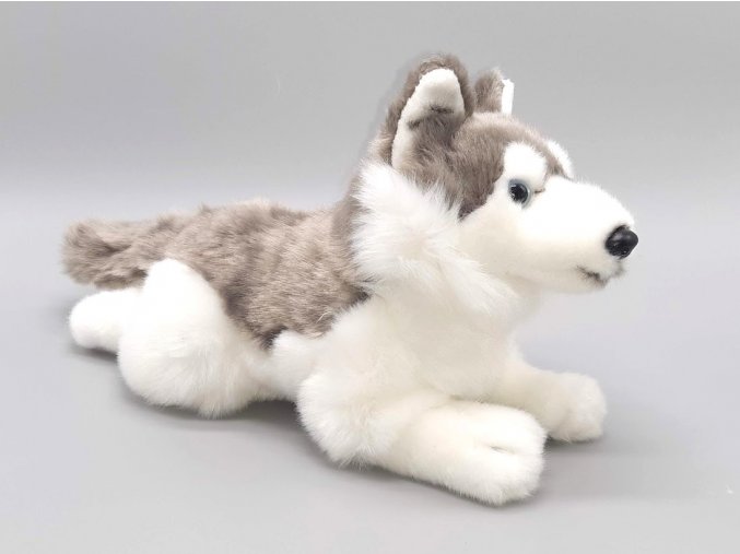 Plyšový pes husky 30 cm - plyšové hračky