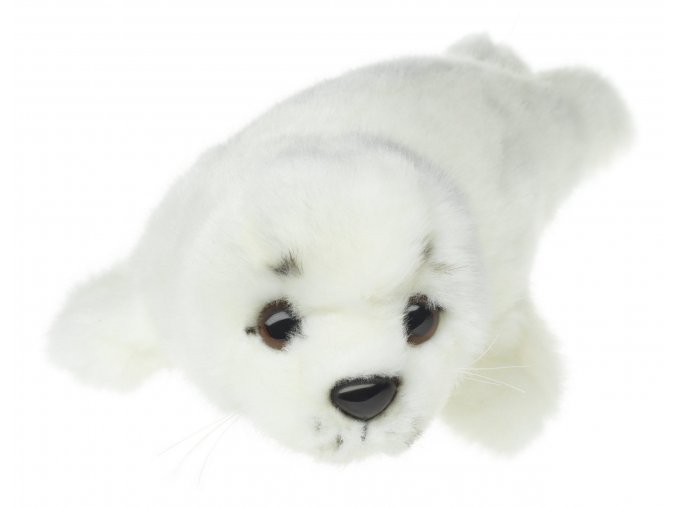 Plush seal 21 cm - plush toys