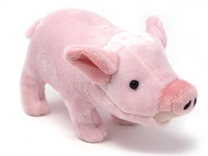 Plush domestic pig 20 cm - plush toys
