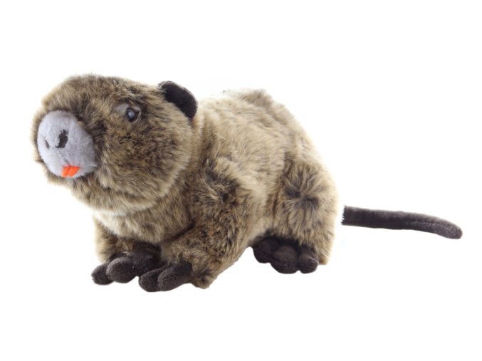 Plush nutria 22 cm - plush toys