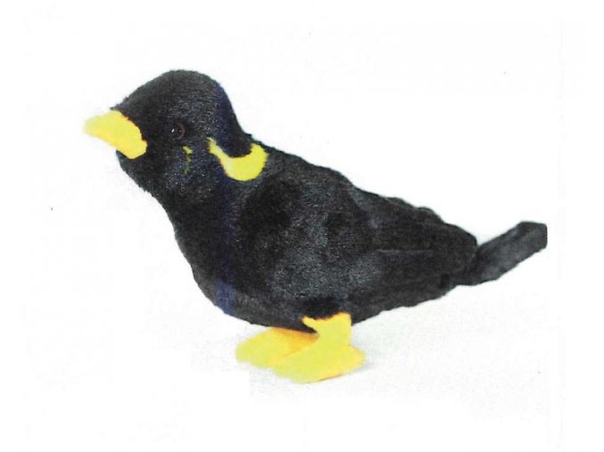 B6BE2CB4 3F28 4863 91FB 59D18D76150E nias ill myna