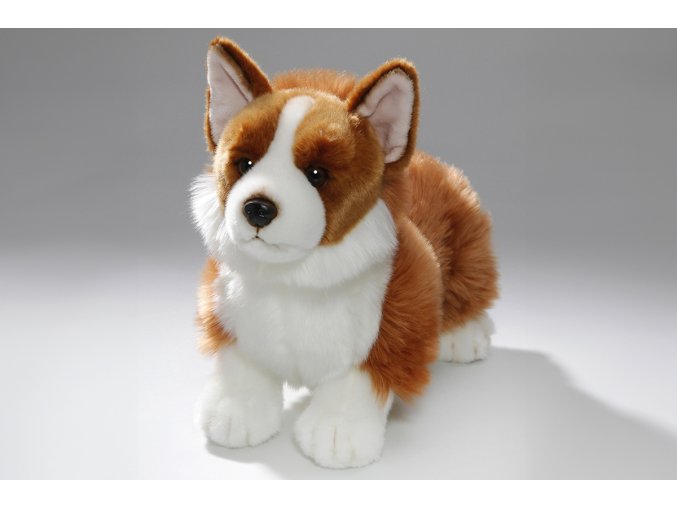 Plyšový pes corgi 35 cm - plyšové hračky