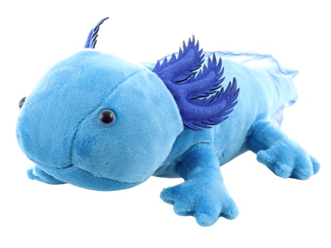 Plyšový axolotl modrý 32 cm - plyšové hračky