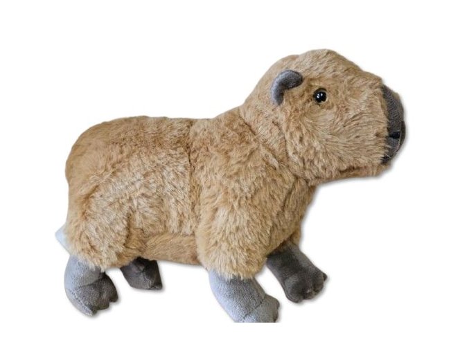 0023334 Kapybara plyš W 047268.jpg