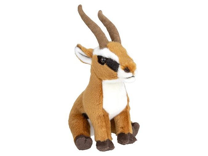 0010491 Antilopa NP03437.jpg