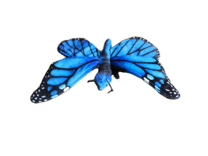 0010516 motyl B602351.jpg