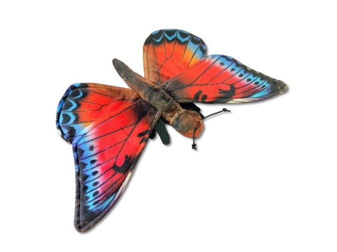 0024052 motyl B602733.jpg